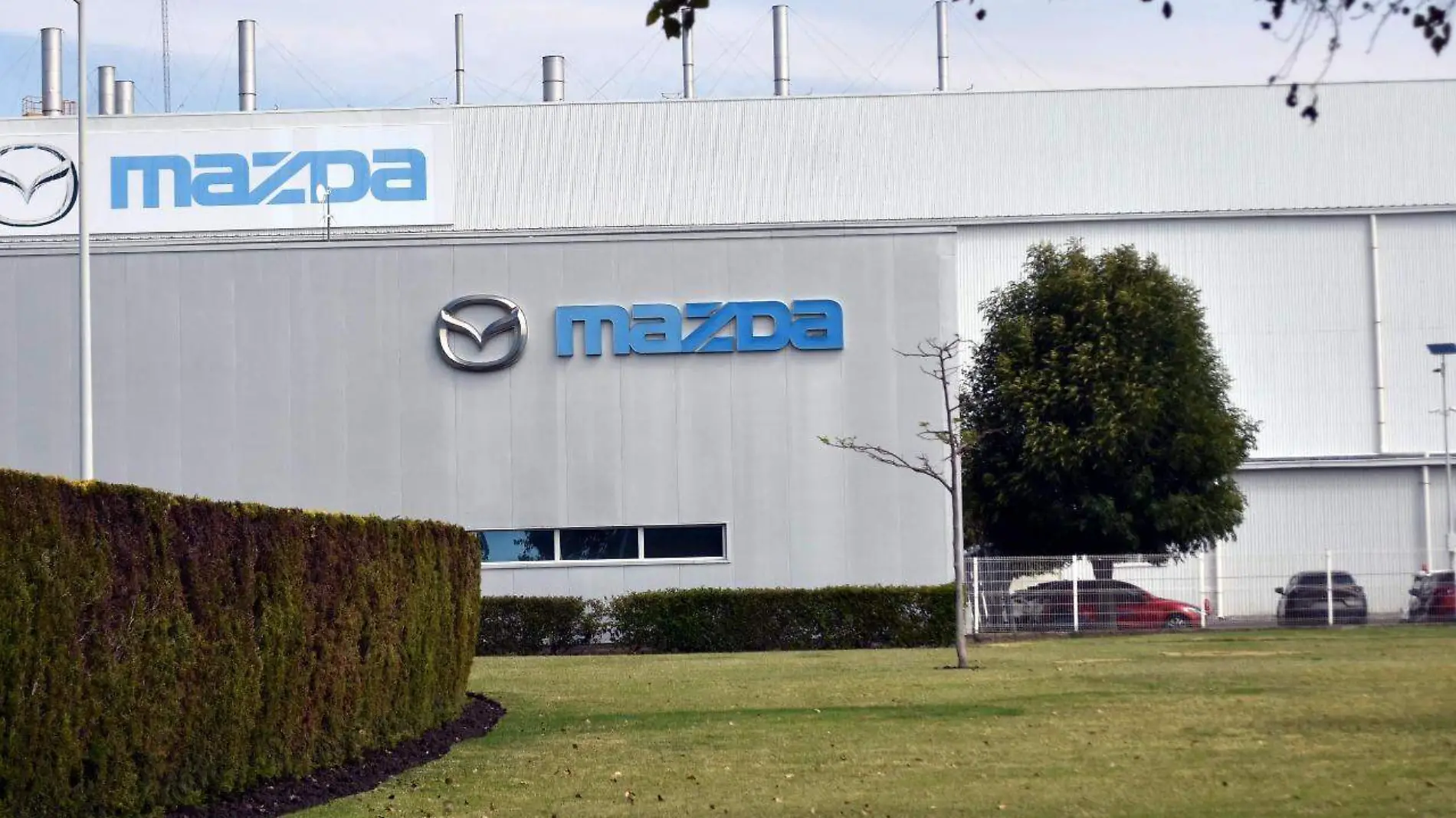 Empleados-de-Mazda (3)